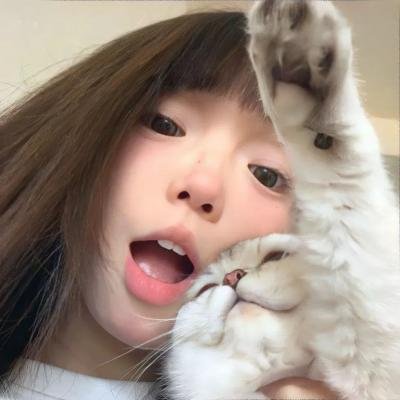 齐姆与友